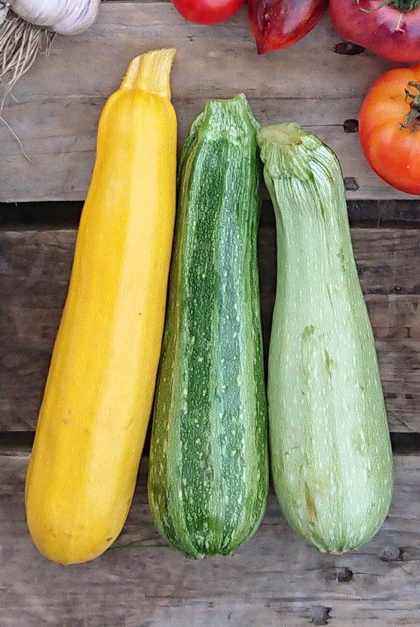 You are currently viewing Pastasalat mit Spinat, getrockneten Tomaten, Zucchini und Rucola