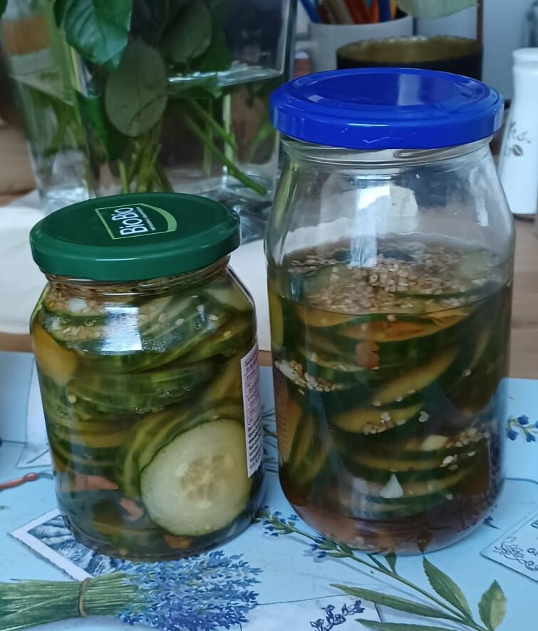 Du betrachtest gerade Würziges Gurkenkimchi